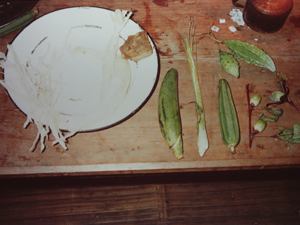 ミャンマーでの行軍中にジャングルで採取した可食植物(筆者提供)